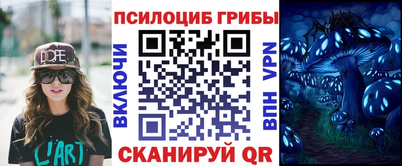 Псилоцибиновые грибы MAGIC MUSHROOMS  где продают   Салаир 