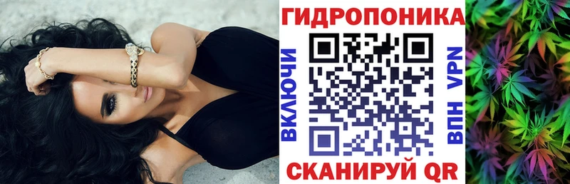 Шишки марихуана семена  наркотики  ОМГ ОМГ вход  Салаир 